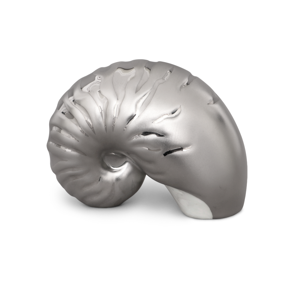Nautilus kagyló